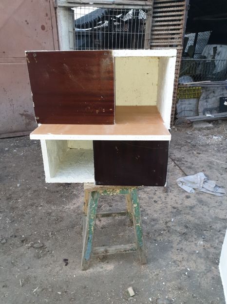  - Noua_casa_a_porumbeilor_cv_fitza_pe 2016