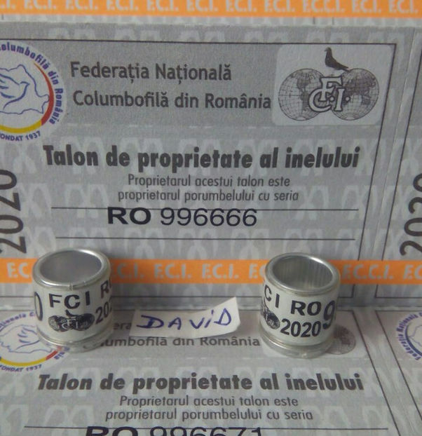  - Inele 2014