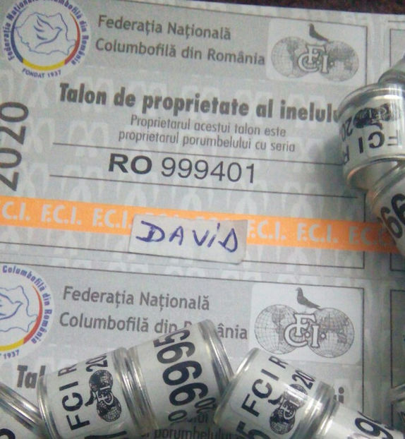  - Inele 2014