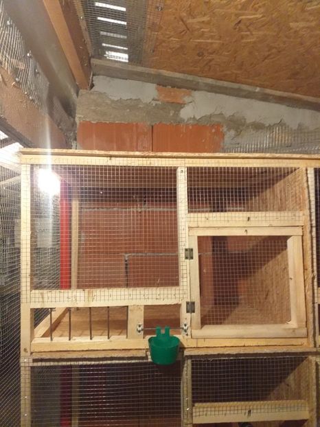  - VOLIERA MEA MODESTA