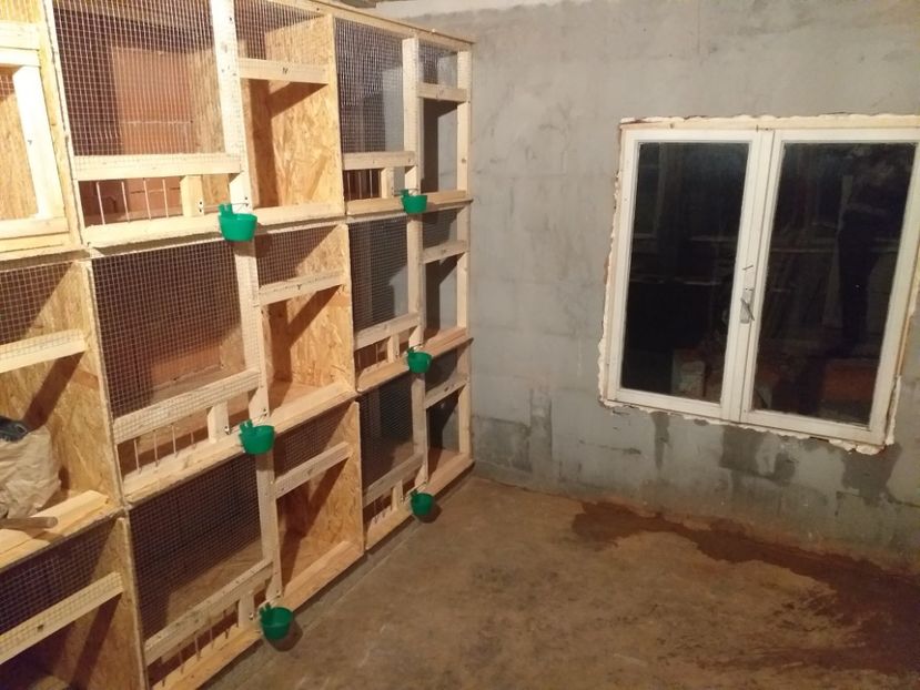  - VOLIERA MEA MODESTA