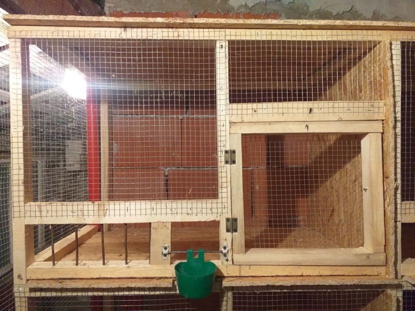  - VOLIERA MEA MODESTA