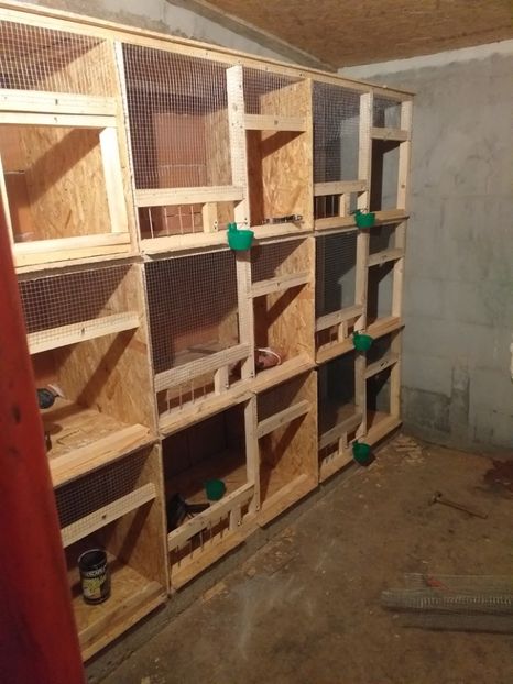  - VOLIERA MEA MODESTA