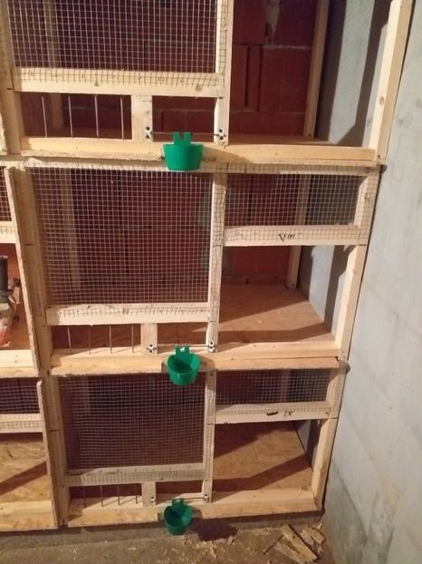  - VOLIERA MEA MODESTA