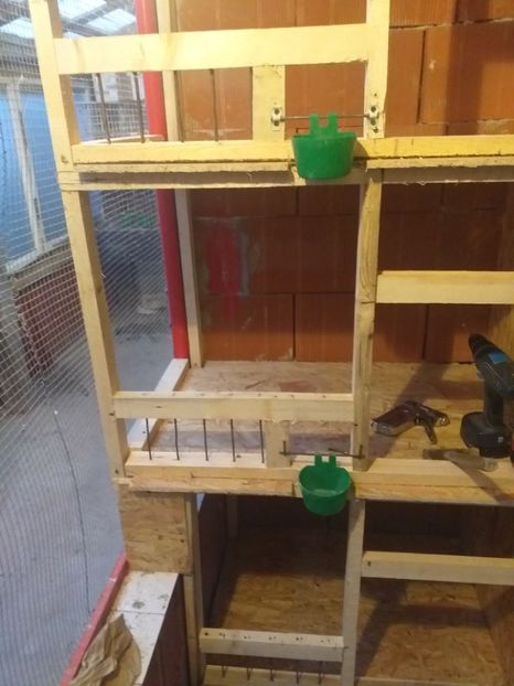  - VOLIERA MEA MODESTA