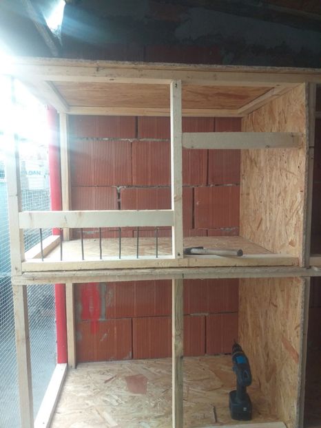  - VOLIERA MEA MODESTA