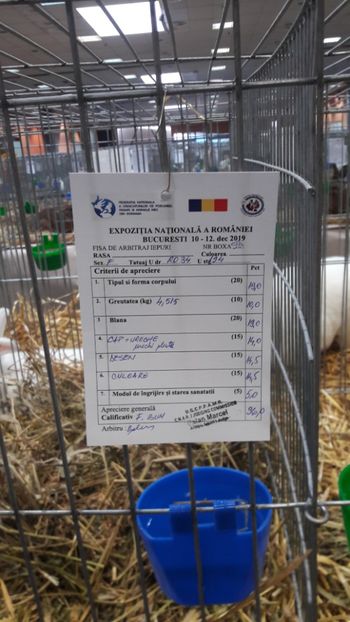  - Expozitia Nationala Bucuresti 2019