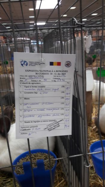  - Expozitia Nationala Bucuresti 2019