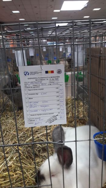  - Expozitia Nationala Bucuresti 2019