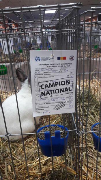  - Expozitia Nationala Bucuresti 2019