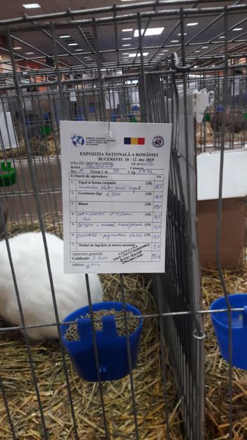  - Expozitia Nationala Bucuresti 2019