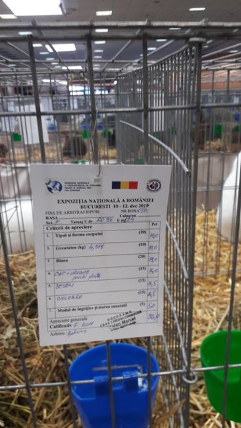  - Expozitia Nationala Bucuresti 2019