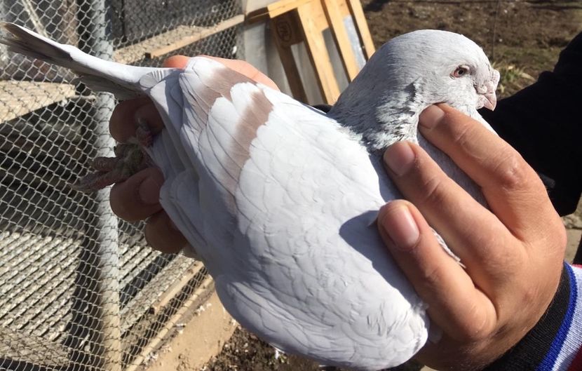 37702047-2C59-4E87-8A30-7435D387E78D - Standard