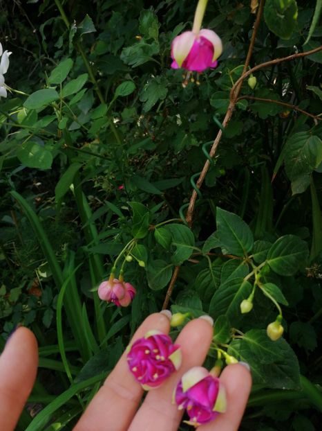  - August