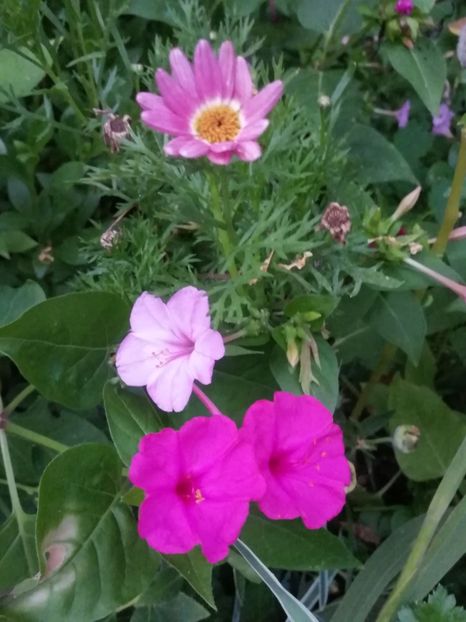  - August