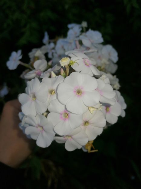  - August