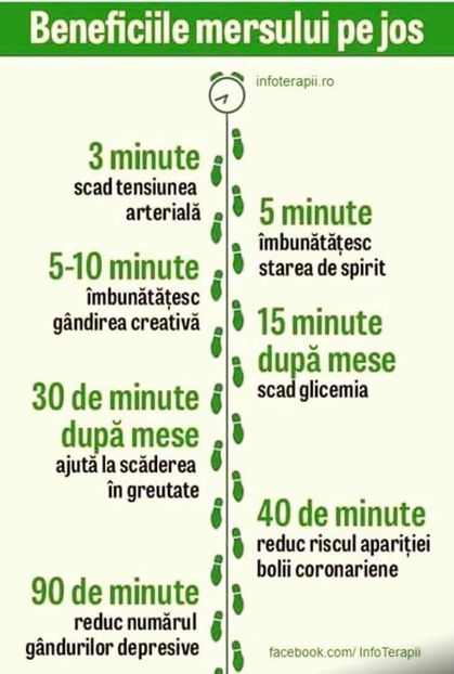 83337743_1496231890540372_1721428333960364032_o - Sfaturi Utile