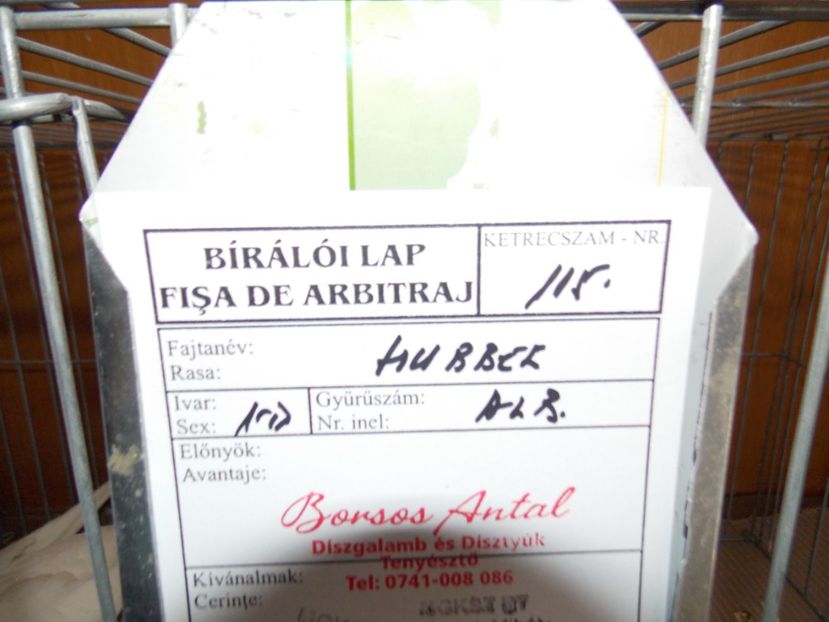  - EXPO-2020-MIERCUREA CIUC