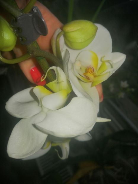  - Ianuarie _februarie 2020-2022