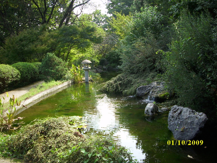 roma 2009 448 - Gradina botanica din Roma