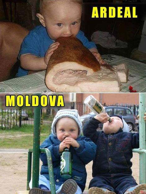  - Bancuri cu Moldoveni