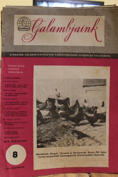 1977  AUGUSZTUS - CARTI REVISTE DESPRE PORUMBEI