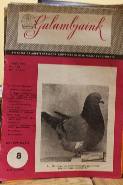 1979  AUGUSZTUS - CARTI REVISTE DESPRE PORUMBEI