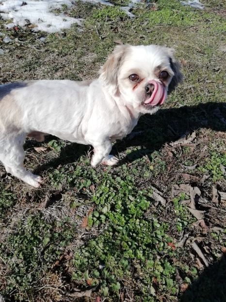 2020 - feb - Comoara mea