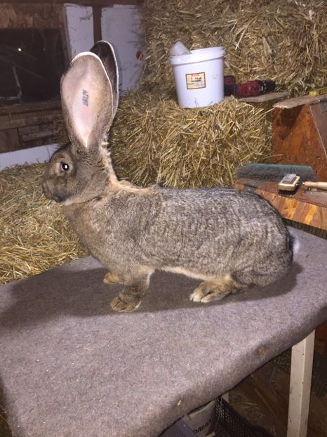 0A839BBC-18DA-4978-826C-8D4892CD7178 - RO8-28124