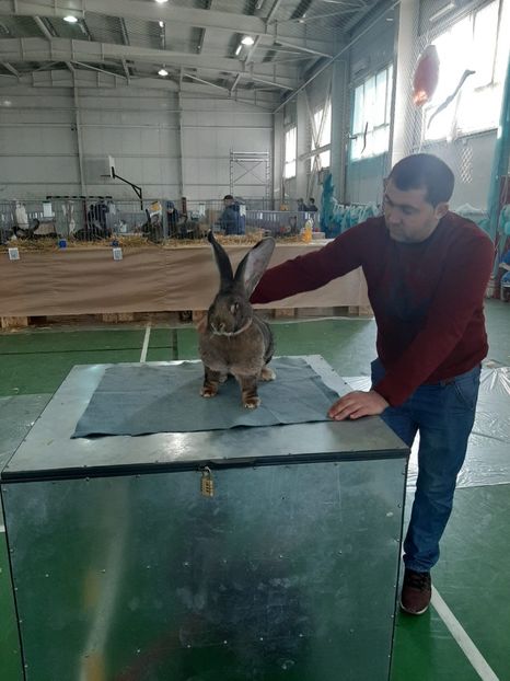 IMG-20200125-WA0010 - CAMPIOANA MEA DE ANU ACESTA DE LA CONSTAMTA