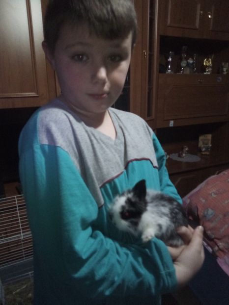  - iepurile 2012---2020