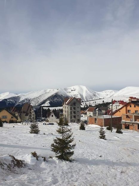  - Rânca februarie 2020