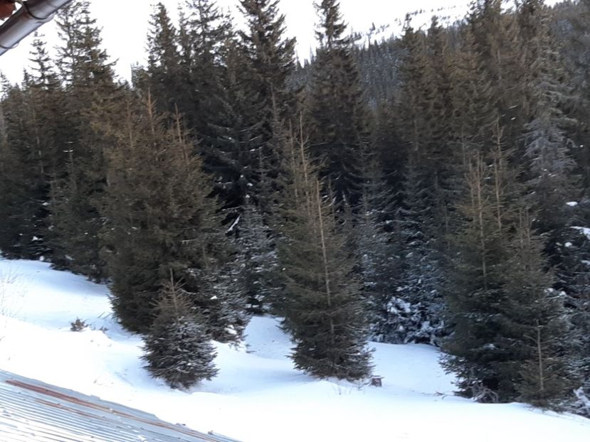  - Rânca februarie 2020