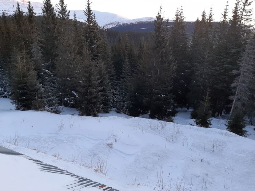  - Rânca februarie 2020