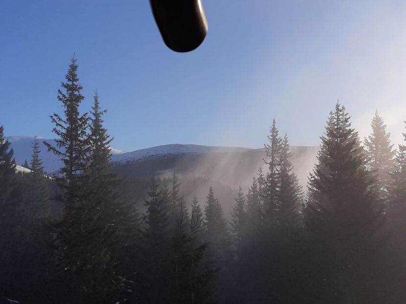  - Rânca februarie 2020