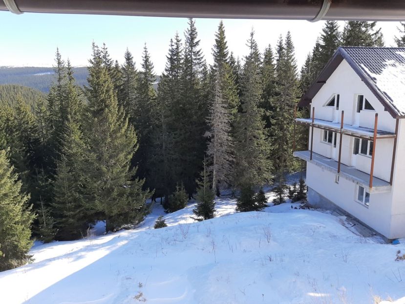  - Rânca februarie 2020