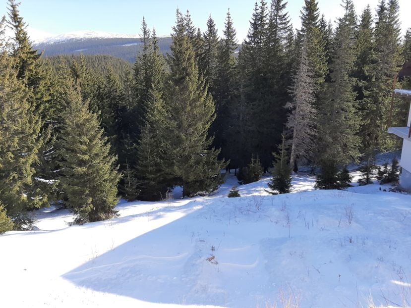  - Rânca februarie 2020