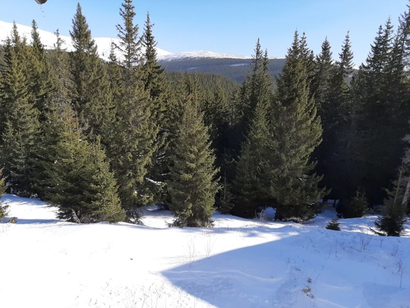  - Rânca februarie 2020