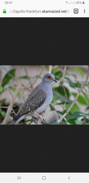 Screenshot_20200210-204107_Firefox - Cumpar