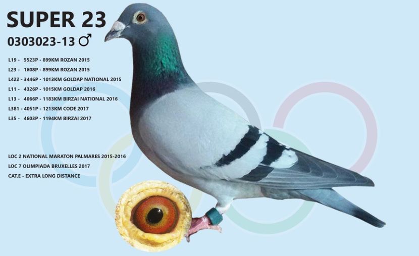 Super 23 Org. Moise Dinu - 4 Părinți și bunici por din matca