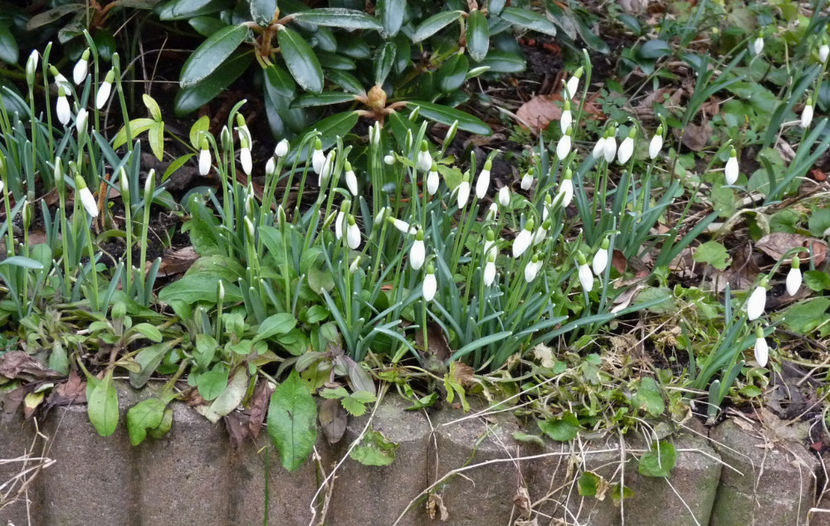  - 2019 - 04 - 2020 - 00 - Iarna