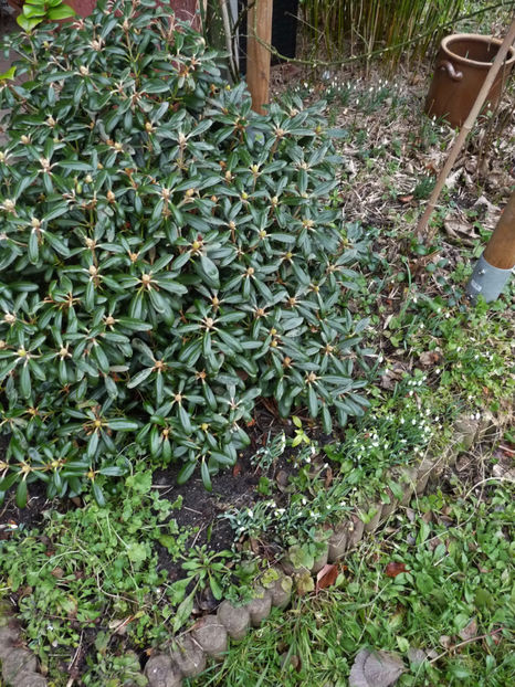  - 2019 - 04 - 2020 - 00 - Iarna