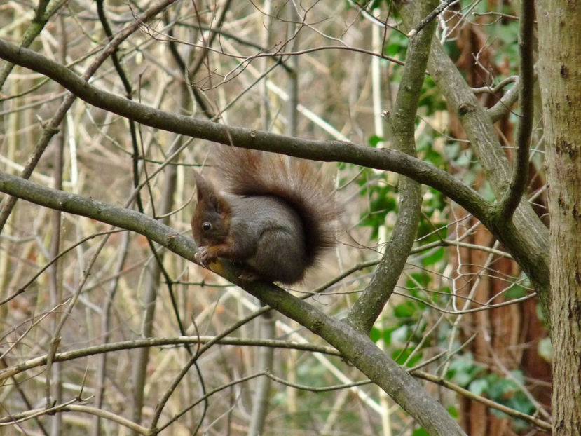  - 2019 - 04 - 2020 - 00 - Iarna