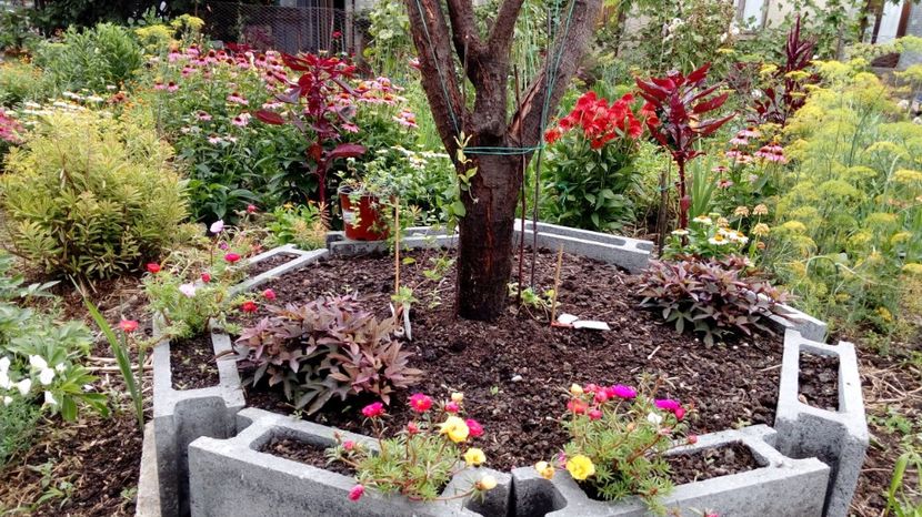  - Gradina Magura 2018