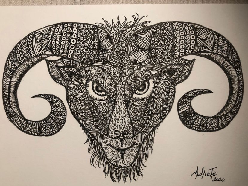 Berbec-varianta pt baieti - 0 DOODLE