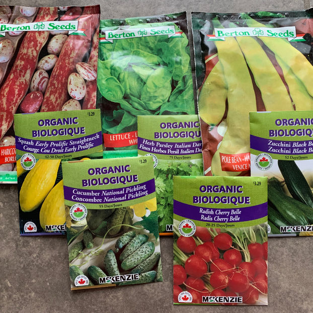  - Jurnalul gradinii 2020