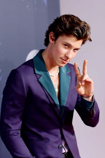  - Shawn Mendes