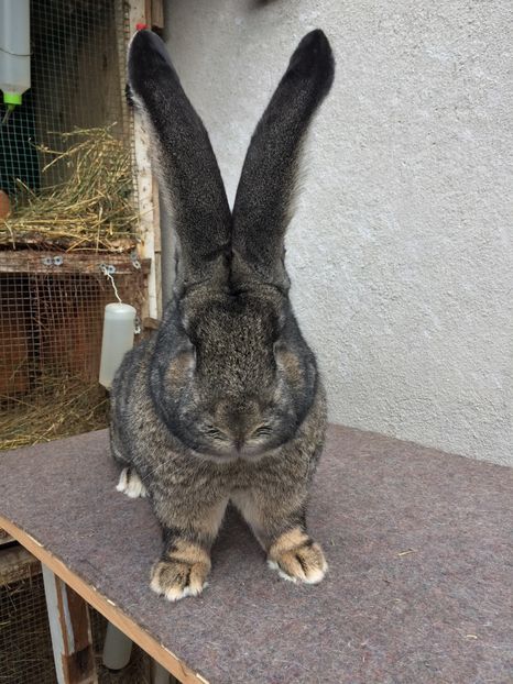 F98ECB2C-21D4-4B69-9337-E3F30C124506 - RO8-1860