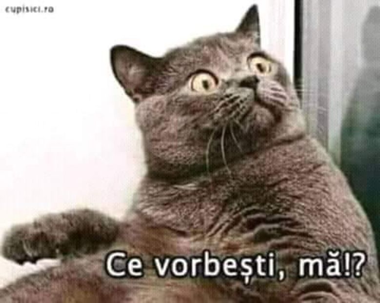 Eurovision 2018 - 2018 Eurovision Song Contest Part 21