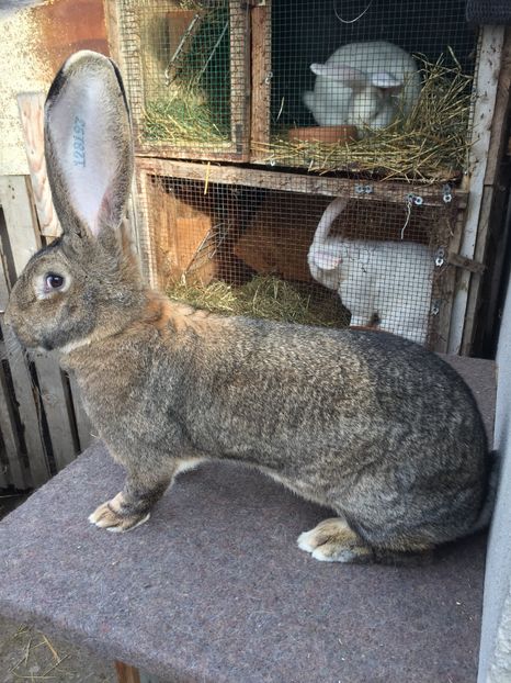 C34186AC-F5D4-42A8-A40B-19359BA6FC8C - RO 8-128193